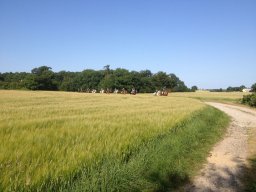 img_1496_web